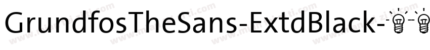 GrundfosTheSans-ExtdBlack字体转换