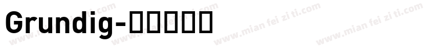 Grundig字体转换