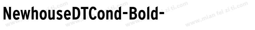 NewhouseDTCond-Bold字体转换