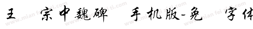 王汉宗中魏碑简手机版字体转换