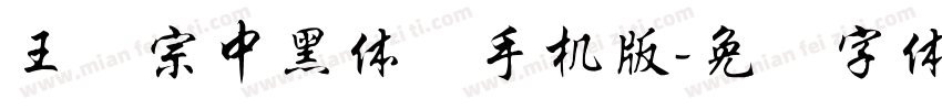 王汉宗中黑体简手机版字体转换