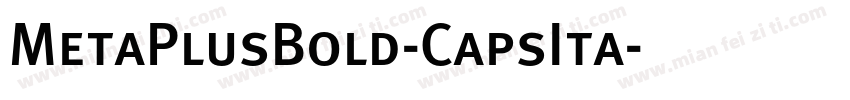 MetaPlusBold-CapsIta字体转换