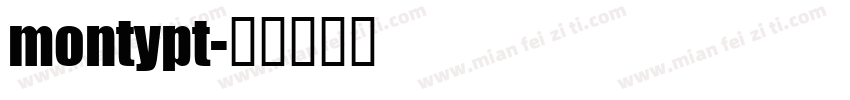 montypt字体转换