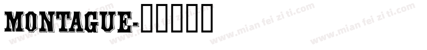 Montague字体转换