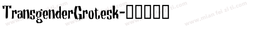 TransgenderGrotesk字体转换