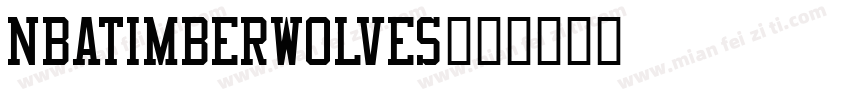 NBATimberwolves字体转换