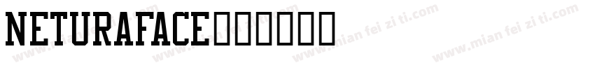 neturaface字体转换