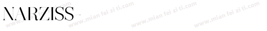 NARZISS字体转换