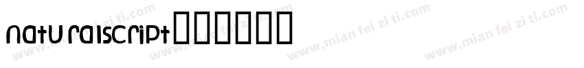 NaturalScript字体转换