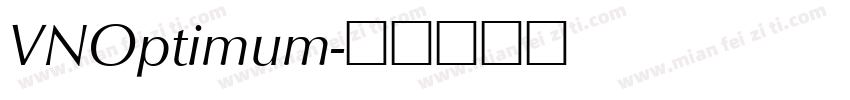 VNOptimum字体转换