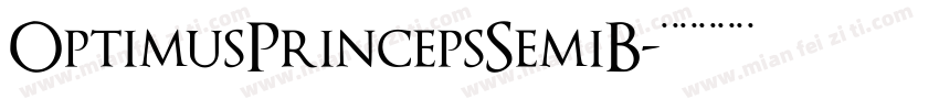 OptimusPrincepsSemiB字体转换