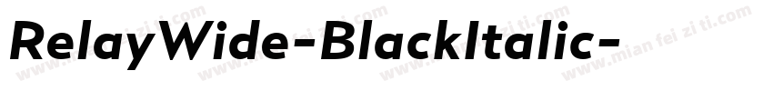 RelayWide-BlackItalic字体转换