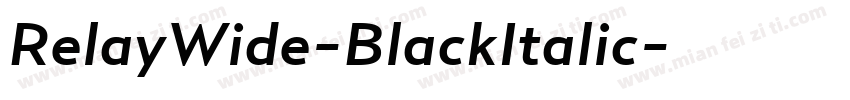 RelayWide-BlackItalic字体转换