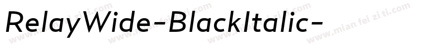 RelayWide-BlackItalic字体转换