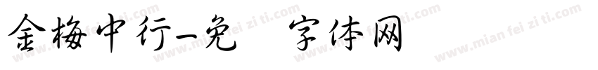 金梅中行字体转换