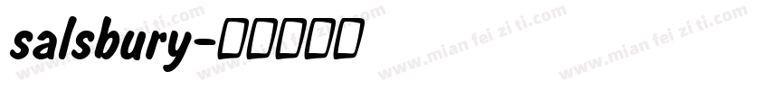 salsbury字体转换