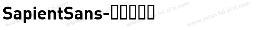 SapientSans字体转换