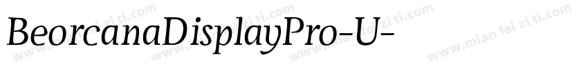 BeorcanaDisplayPro-U字体转换