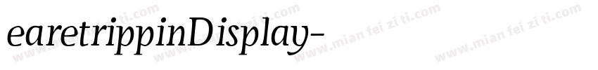 earetrippinDisplay字体转换