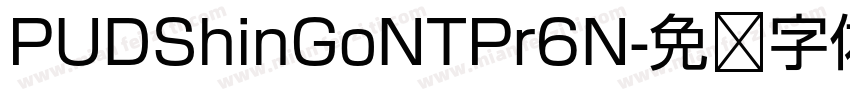 PUDShinGoNTPr6N字体转换