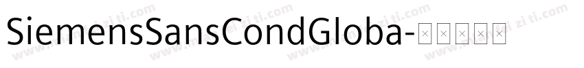 SiemensSansCondGloba字体转换