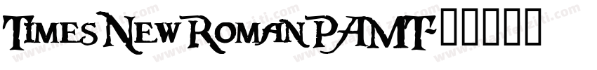 TimesNewRomanPAMT字体转换