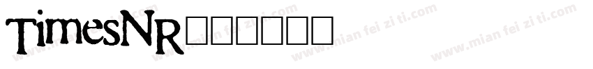 TimesNR字体转换