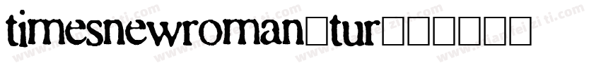 timesnewroman-tur字体转换