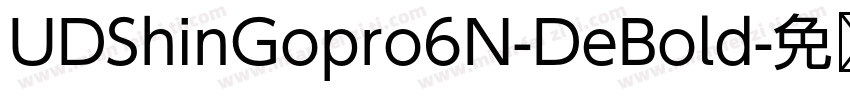 UDShinGopro6N-DeBold字体转换