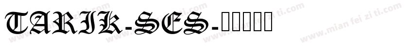 TARIK-SES字体转换