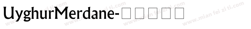 UyghurMerdane字体转换