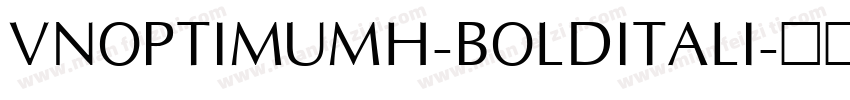 VNOptimumH-BoldItali字体转换