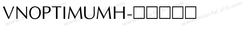 vnoptimumh字体转换