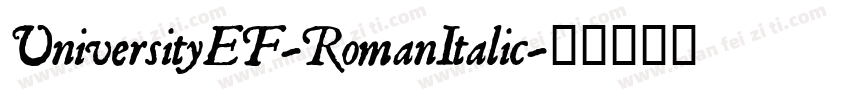 UniversityEF-RomanItalic字体转换