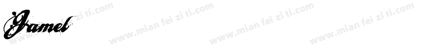 Jamel字体转换