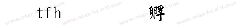 毛tfh毡字体转换