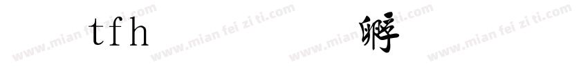 毛tfh毡字体转换