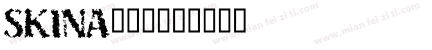 SKINA___字体转换
