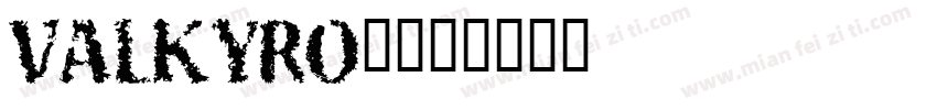 VALKYRO_字体转换