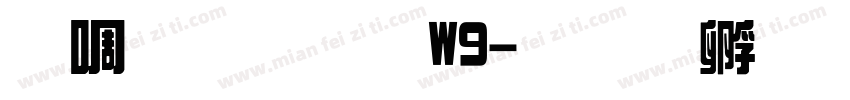 新綜藝體W9字体转换