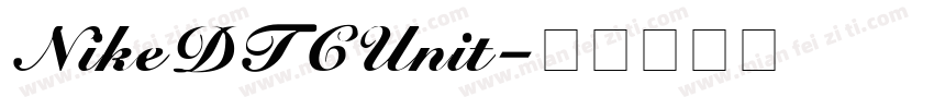 NikeDTCUnit字体转换