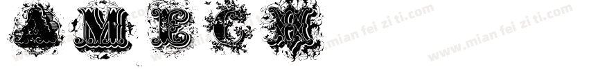 amech字体转换