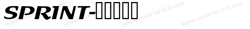 SPRINT字体转换