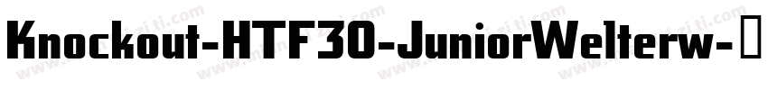 Knockout-HTF30-JuniorWelterw字体转换