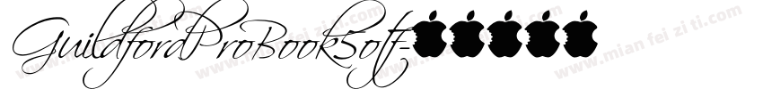 GuildfordProBook5otf字体转换