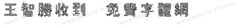王智胜收到字体转换