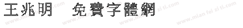 王兆明字体转换