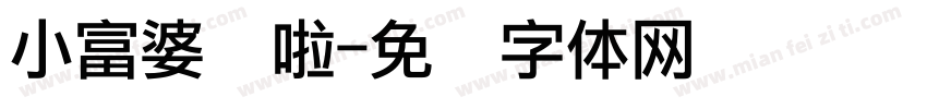 小富婆来啦字体转换