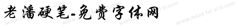 老潘硬笔字体转换