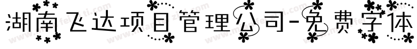 湖南飞达项目管理公司字体转换
